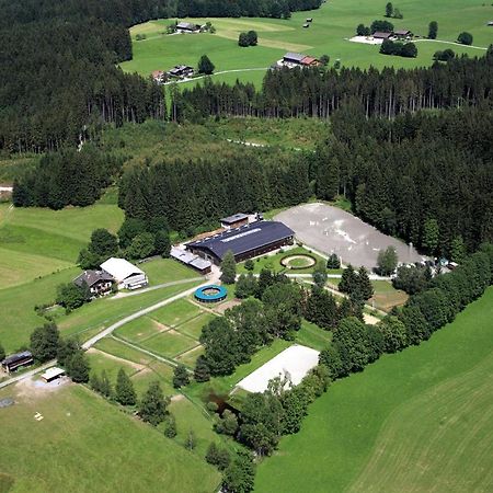 Ferienwohnung Reitgestuet Waldeck Saalfelden ภายนอก รูปภาพ
